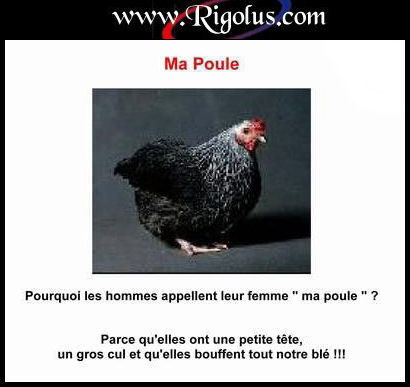 Une poule!