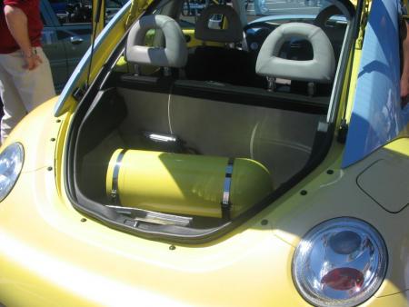 Une beetle