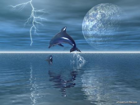 Des dauphins
