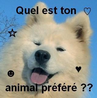 Questions?